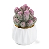 Resin Simulation Potted Cactus DJEW-F019-01D-1