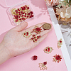 24Pcs 6 Styles Alloy Rhinestone Pendants ENAM-PH0003-27-3
