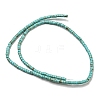 Natural Turquoise Beads Strands X-G-C084-D10-02-3