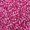 Glass Seed Beads X-SEED-S042-04B-19-3