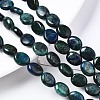 Natural Chrysocolla and Lapis Lazuli Beads Strands G-N330-031-4