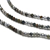 Natural Apatite Beads Strands G-RM2025-A23-2mm-4