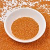 MIYUKI Delica Beads SEED-X0054-DB1777-2