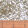 MIYUKI Delica Beads SEED-MY11-DB0508-4
