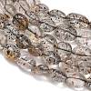 Natural Biotite Beads Strands GG-CBAC61B-B02-01-A-3