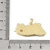 Brass Enamel Pendants KK-C263-30C-G-3
