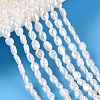 Natural Cultured Freshwater Pearl Beads Strands PEAR-N014-02B-01-1