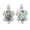 Natural Paua Shell Epoxy Resin Pendants PALLOY-JF05271-02-1