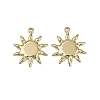 304 Stainless Steel Pendants STAS-D363-03G-1