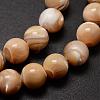 Natural Sea Shell Beads Strands SSHEL-K013-8mm-B-3