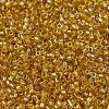 MIYUKI Delica Beads SEED-X0054-DB2372-3
