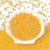 Transparent Glass Seed Beads SEED-N007-33A-03-2