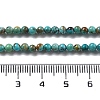 Natural HuBei Turquoise Beads Strands G-M411-A02-01-4