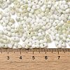 Baking Paint Glass Seed Beads SEED-F005-01A-10-4