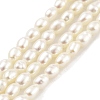 Natural Cultured Freshwater Pearl Beads Strands PEAR-P062-22-1