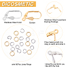DICOSMETIC 60Pcs 2 Color 304 Stainless Steel Leverback Earring Findings STAS-DC0007-38-4