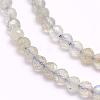 Natural Labradorite Beads Strands G-F509-03-4mm-3