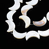 Natural Freshwater Shell Beads Strands SHEL-Q024-015A-3