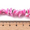 Natural Trochid Shell/Trochus Shell Beads Strands SHEL-B003-02E-4