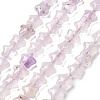 Natural Amethyst Beads Strands G-Z080-A24-8mm-2