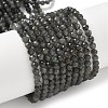 Natural Labradorite Beads Strands G-L622-C03-4mm-2