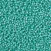 MIYUKI Round Rocailles Beads SEED-X0055-RR0571-3