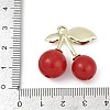 Alloy & Acrylic Pendants PALLOY-S053-01LG-D-3