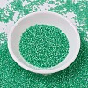 MIYUKI Delica Beads SEED-J020-DB0691-2