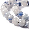 Natural Blue White Dumortierite Round Beads Strands G-E265-01A-4