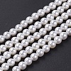 Shell Pearl Bead Strands BSHE-P023-3mm-1