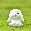 Resin Standing Rabbit Statue FIND-SZC0011-171-1