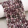 Natural Plum Blossom Tourmaline Beads Strands G-P611-C36-01-1