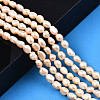 Natural Cultured Freshwater Pearl Beads Strands PEAR-N014-05A-6