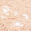 TOHO Japanese Seed Beads SEED-F002-2mm-763-2