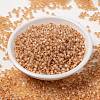 MIYUKI Round Rocailles Beads SEED-JP0009-RR0580-2