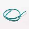 Faceted Rondelle Synthetic Turquoise Beads Strands TURQ-I015-6x4mm-06-2