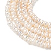 Natural Cultured Freshwater Pearl Beads Strands PEAR-C004-20B-4