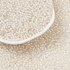 12/0 Glass Seed Beads SDB201-2