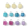 20Pcs Natural Dolomite Charms PALLOY-JF03177-1