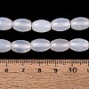 Natural Agate Beads Strands G-N362-18A-10-5