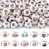 60Pcs 10 Styles Opaque Resin European Beads RPDL-YW0001-21-1