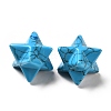 Synthetic Turquoise Beads G-A206-01A-27-2