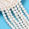 Natural Cultured Freshwater Pearl Beads Strands PEAR-L034-12A-1