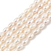 Natural Cultured Freshwater Pearl Beads Strands PEAR-I007-01B-01B-2