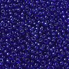 MIYUKI Round Rocailles Beads SEED-G008-RR0151-2