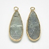 Natural Labradorite Pendants G-Q494-55C-2