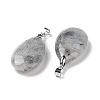 Natural Labradorite Pendants G-D084-01P-B22-3