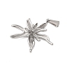 304 Stainless Steel Pendants LS-STAS-Q349-01D-P-2