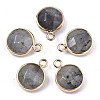 Gemstone Pendants G-T131-101-2