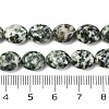 Natural Green Spot Jasper Beads Strands G-M420-D13-01-5